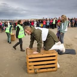 Verslaggever Goeree-Overflakkee