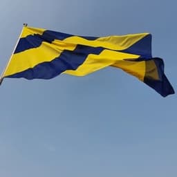 Sommelsdijkse dorpsraad